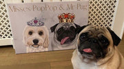 Custom Pet Canvas